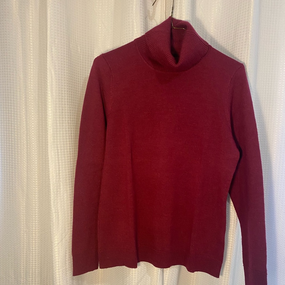 Cranberry colored 100% merino wool turtle neck.